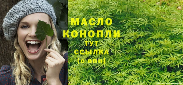 первитин Каменка