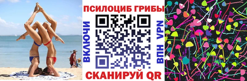 Галлюциногенные грибы Magic Shrooms  как найти наркотики  Алупка 